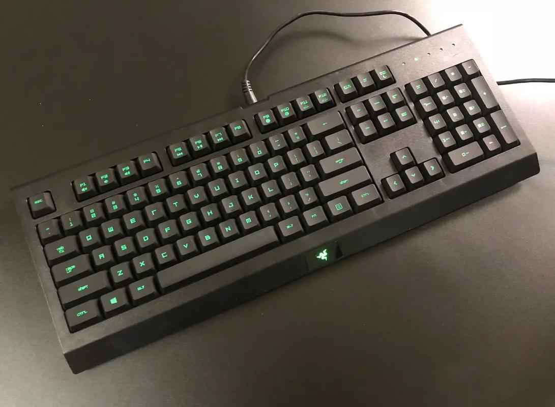 狼蛛狩猎鼠标和雷蛇炼狱蝰蛇哪一款好