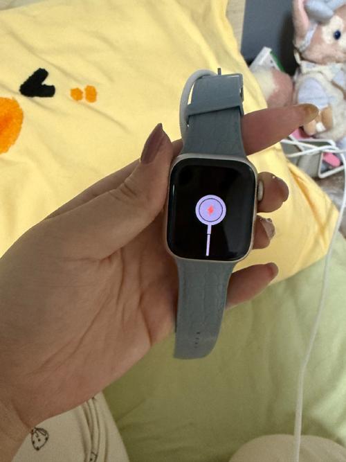 苹果手表放了很久没用了充电没反应