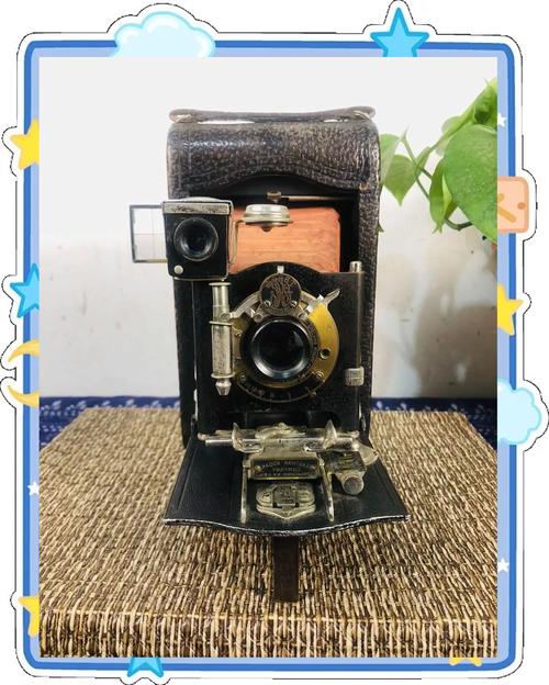 世界上最贵的数码单反相机是什么相机?