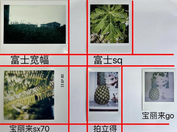 相纸为什么不同?