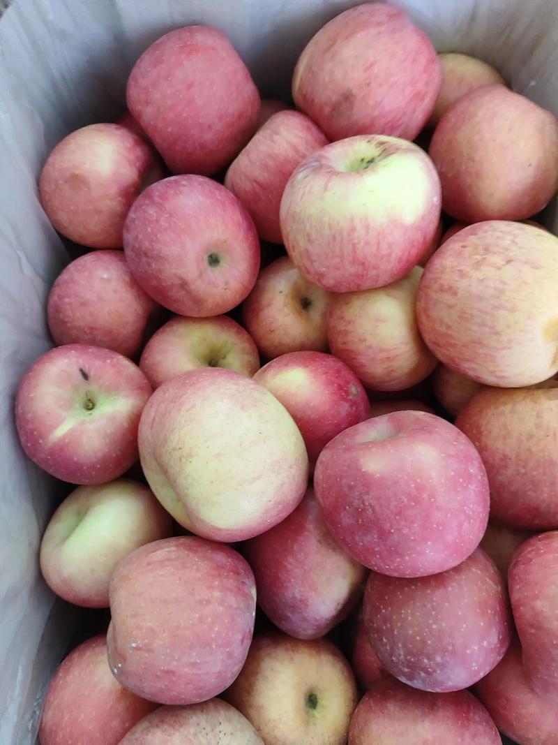 苹果4多少钱一部当年