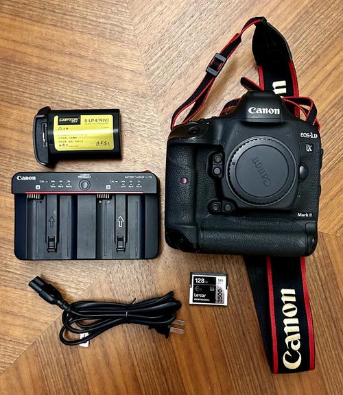 单反1dx怎么插卡进去?