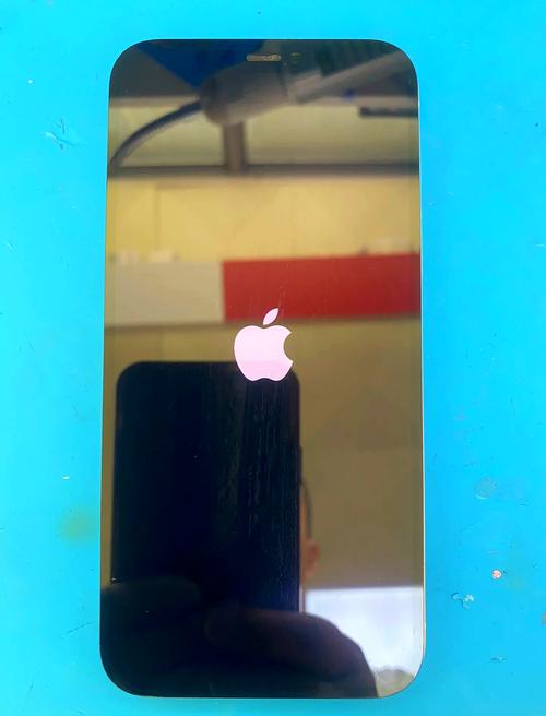 苹果12开不了机一直显示白苹果