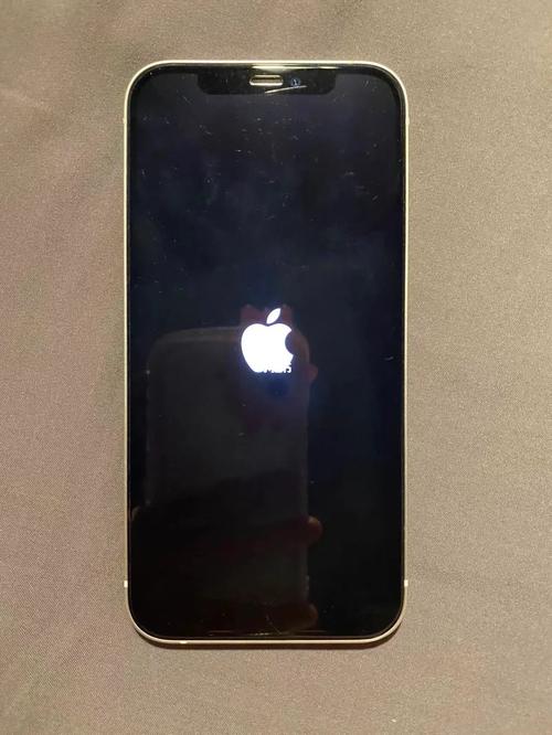 苹果12突然黑屏开不了机怎么办