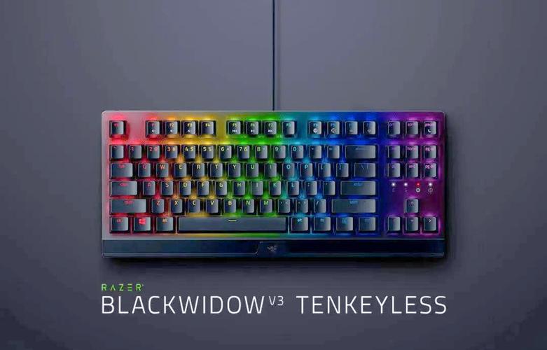 美国黑寡妇蜘蛛图片:如何评价雷蛇黑寡妇蜘蛛轻装版键盘?