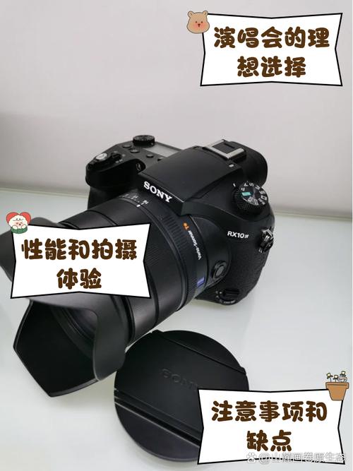 【2023】索尼黑卡长焦相机选购指南:附索尼RX10M〖Four〗、RX10M〖Three〗、RX10M2推荐...