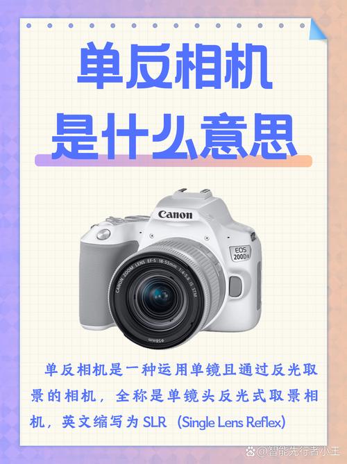 什么是单反相机