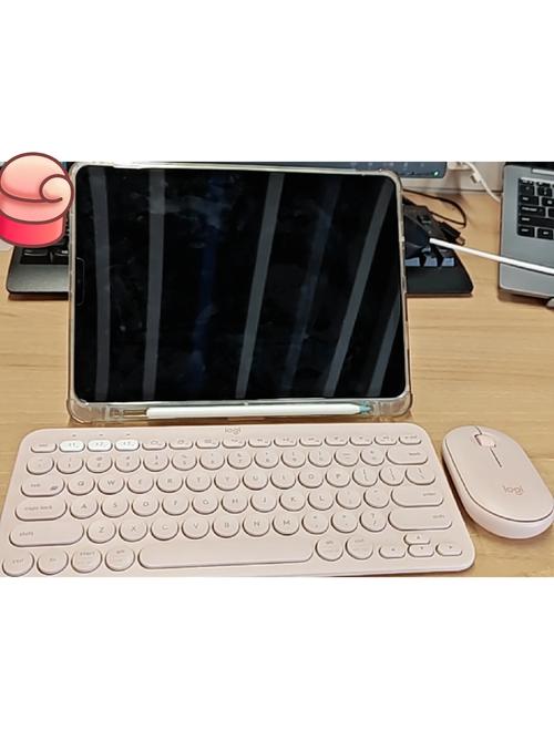 ipad可以用无线鼠标吗