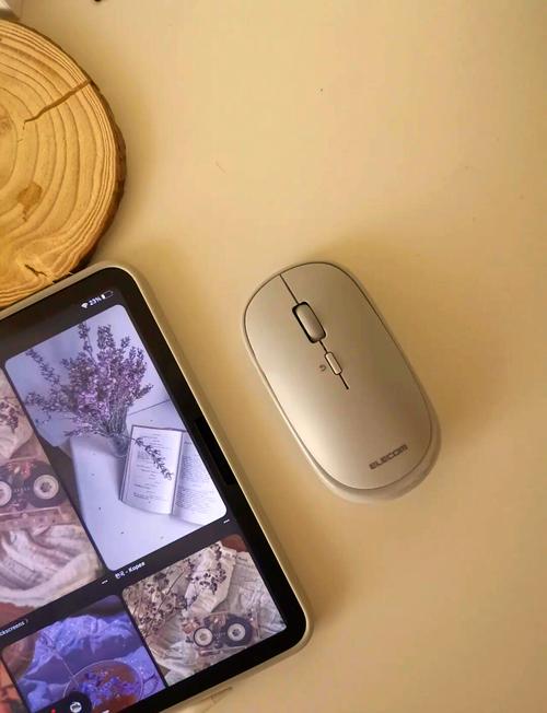 苹果平板mini可以用鼠标吗