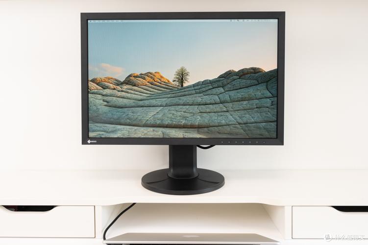 校色仪哪个牌子质量好