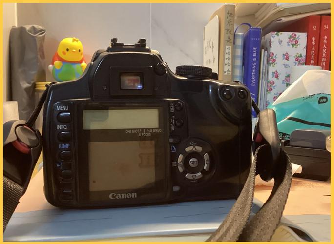 想买数码单反相机,选佳能350D还是尼康D50?