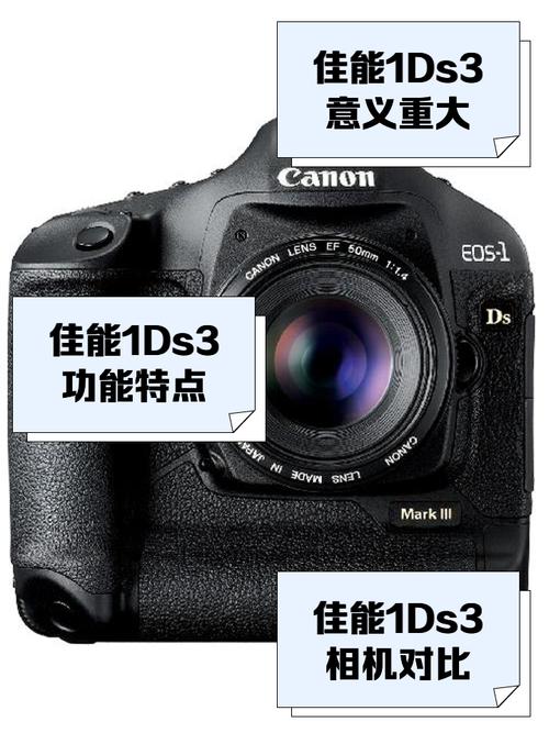 佳能1ds3与佳能1dx谁更强