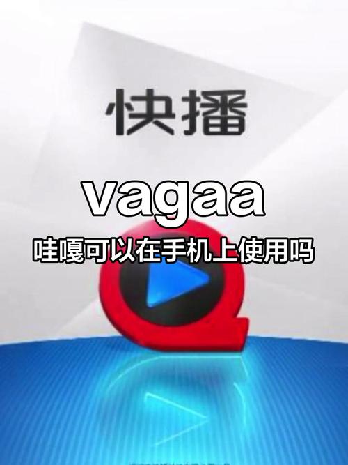 waga是什么软件