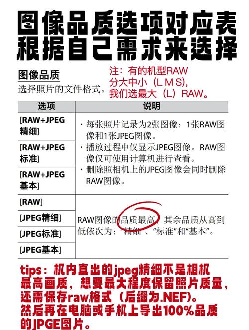 尼康z卡口系列所有相机