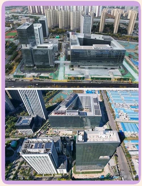 华米和小米是什么关系