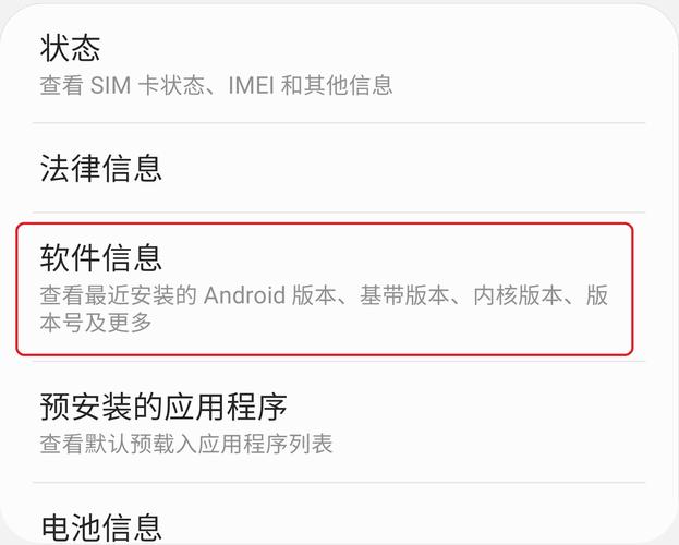 三星s10开发者选项在哪里