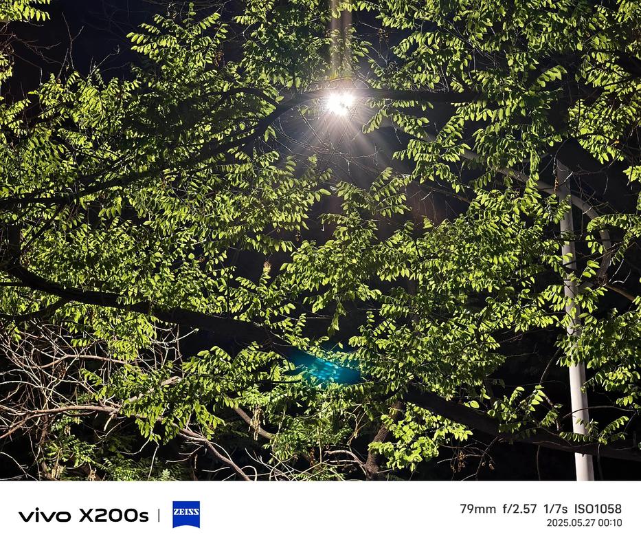 我用三星NV10拍夜景的时候“开闪光灯”为什么有很多小白点?