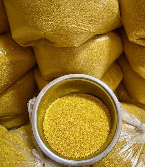 都2024年了,小米10廉颇老矣?米粉:还能打,两年后换米16