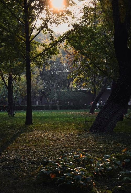 佳能的什么镜头拍风景比较好?