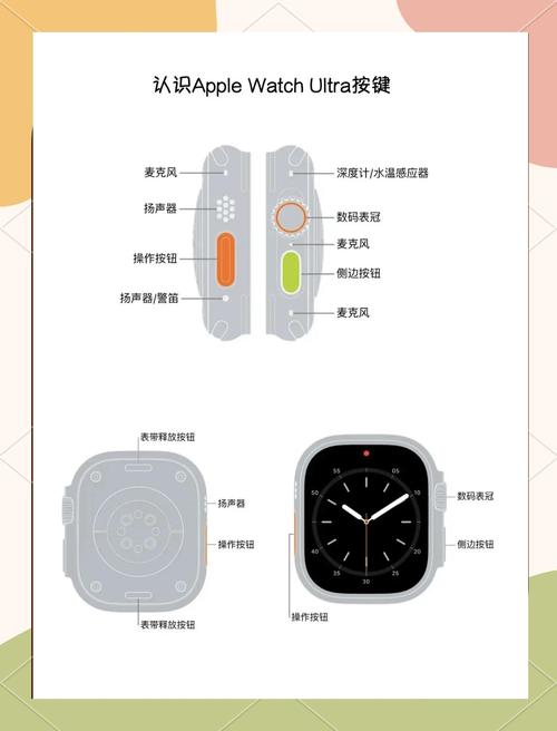 iphone手表有什么功能怎么用