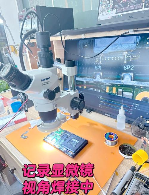 switch硬破存档放在哪个文件夹