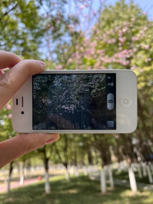 苹果4拍照怎么样