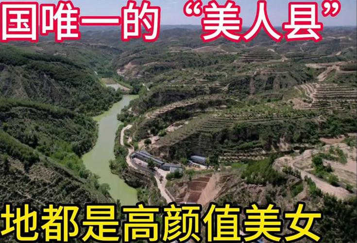 晋城特产泽州黄小米多少钱一公斤