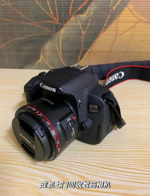 佳能Eos700D相机应配什么“打鸟”镜头