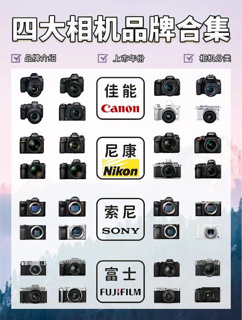 请问尼康p510,佳能SX40,索尼HX200哪个跟好些