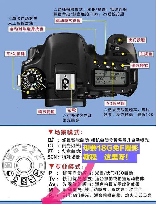 佳能80d如何使用