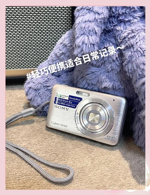 索尼DSC-W310怎么样