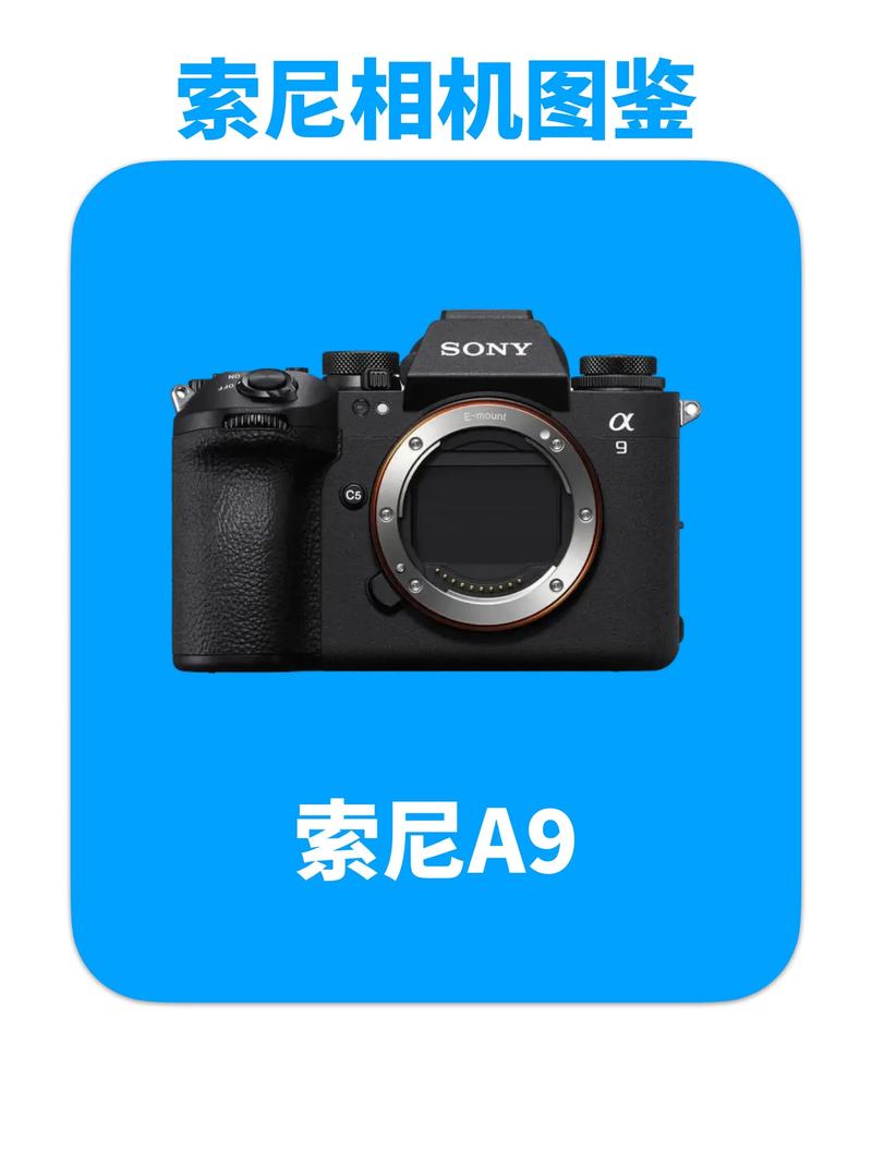 索尼a9f和a1比较