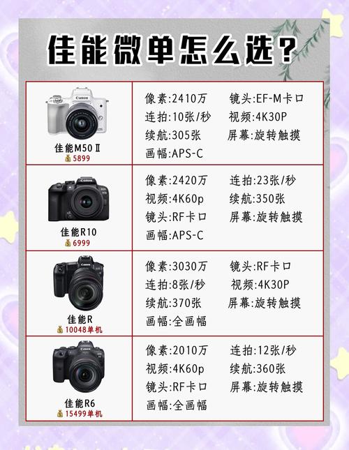 2018入门单反佳能和尼康哪个好