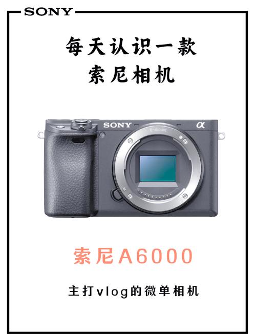 索尼a6000微单适合经常拍风景和人像的初学者用吗?