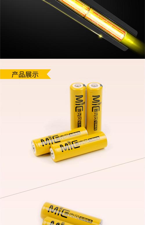 前十最耐用充电电池