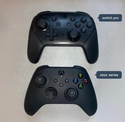 switch要加一个手柄建议买哪种