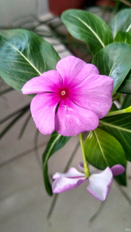 红米3S评测:699元配指纹识别+长续航