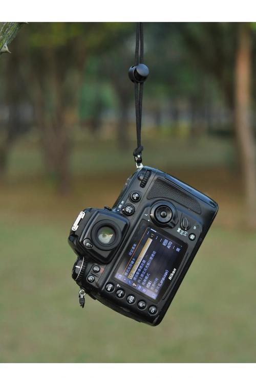 尼康D700为何被赞誉为神机,尽管有像素差距?