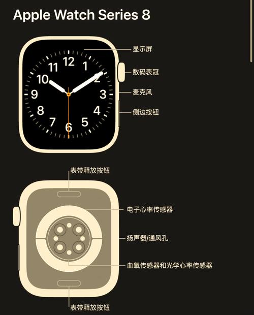 苹果手表3代功能介绍