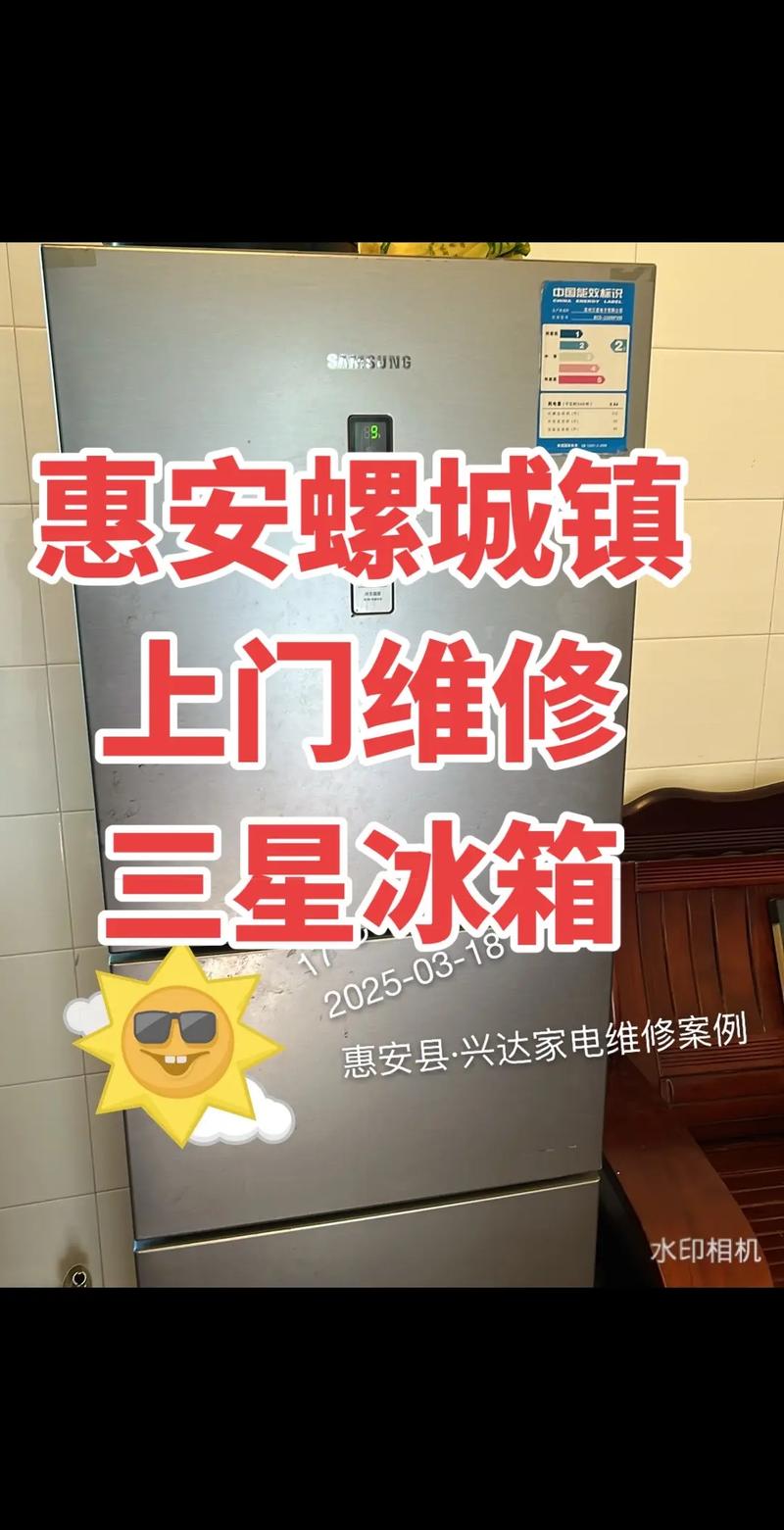 国内生产冰箱压缩机最大公司有那几家