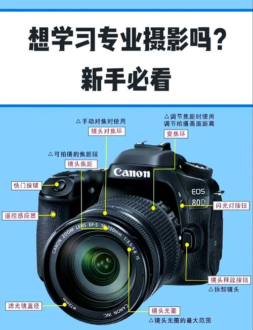 佳能rp和80d哪个值得购买