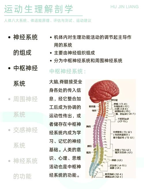 人体的八大系统,哪个最容易得病?