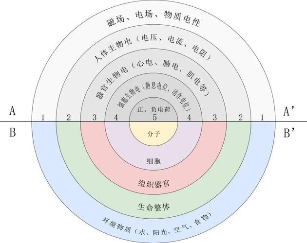 人体是有“八大系统”还是“九大系统”?