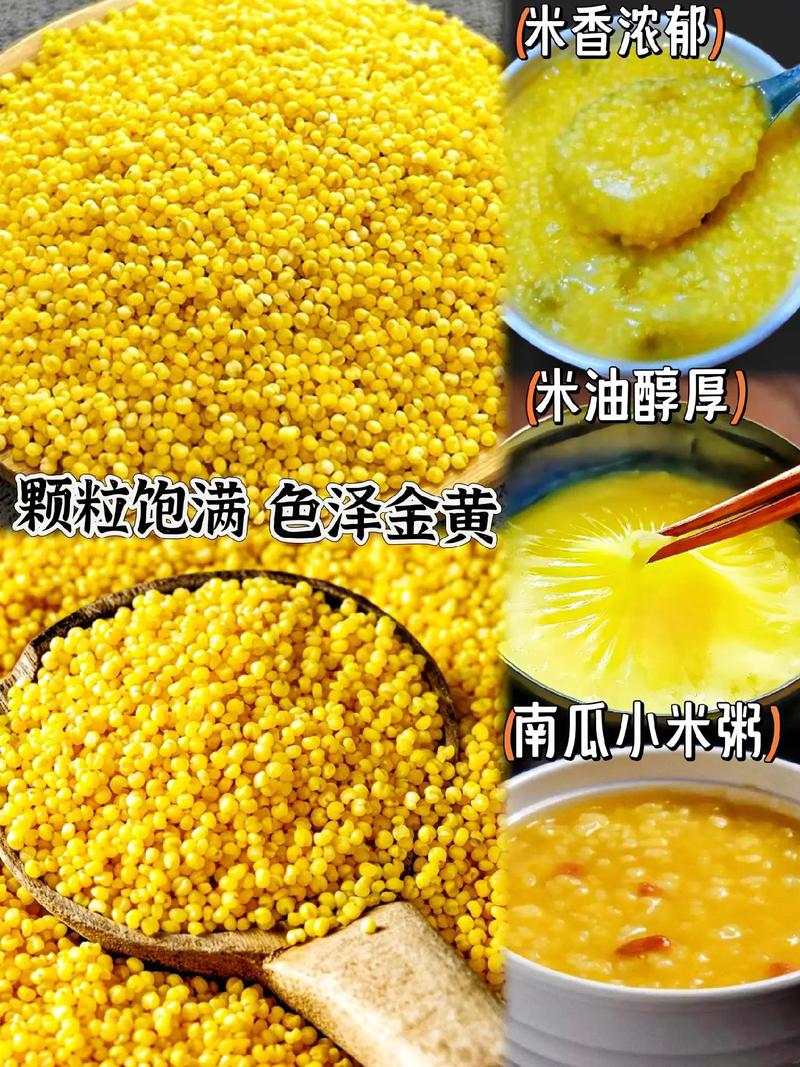 小米多少钱一斤市场价(小米多少钱一斤)