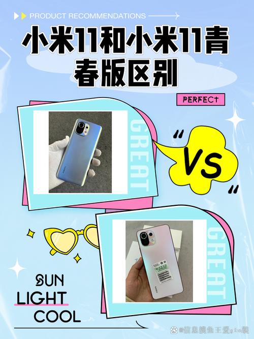 小米11青春版和青春活力版有什么区别