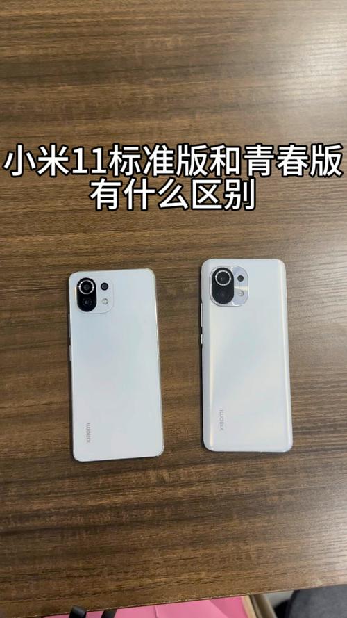 小米11青春版与青春活力版区别
