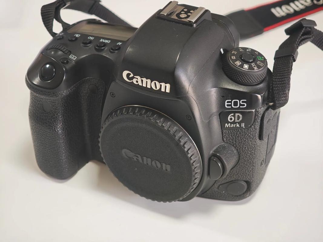 佳能5d3和6d2哪个更值得入