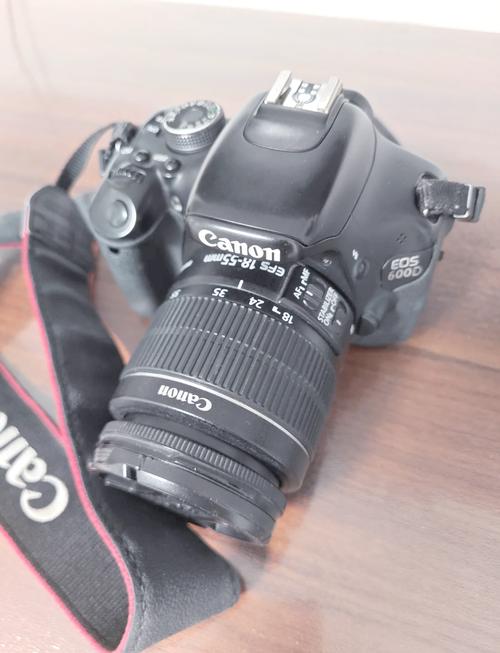 佳能600D赠送的电池充电橙色等一直闪,怎么回事?