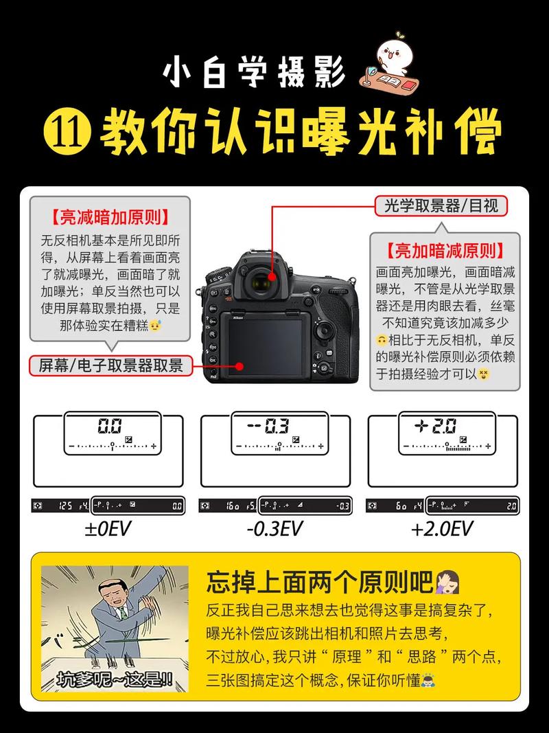 尼康相机曝光怎么设置的