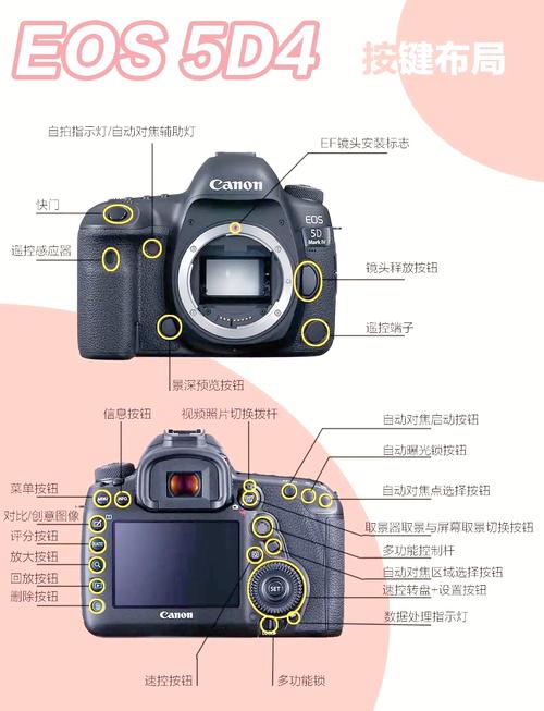 在微单为趋势的现在,5d4还值得入手吗?不敢入佳能微单,rf头太贵了...